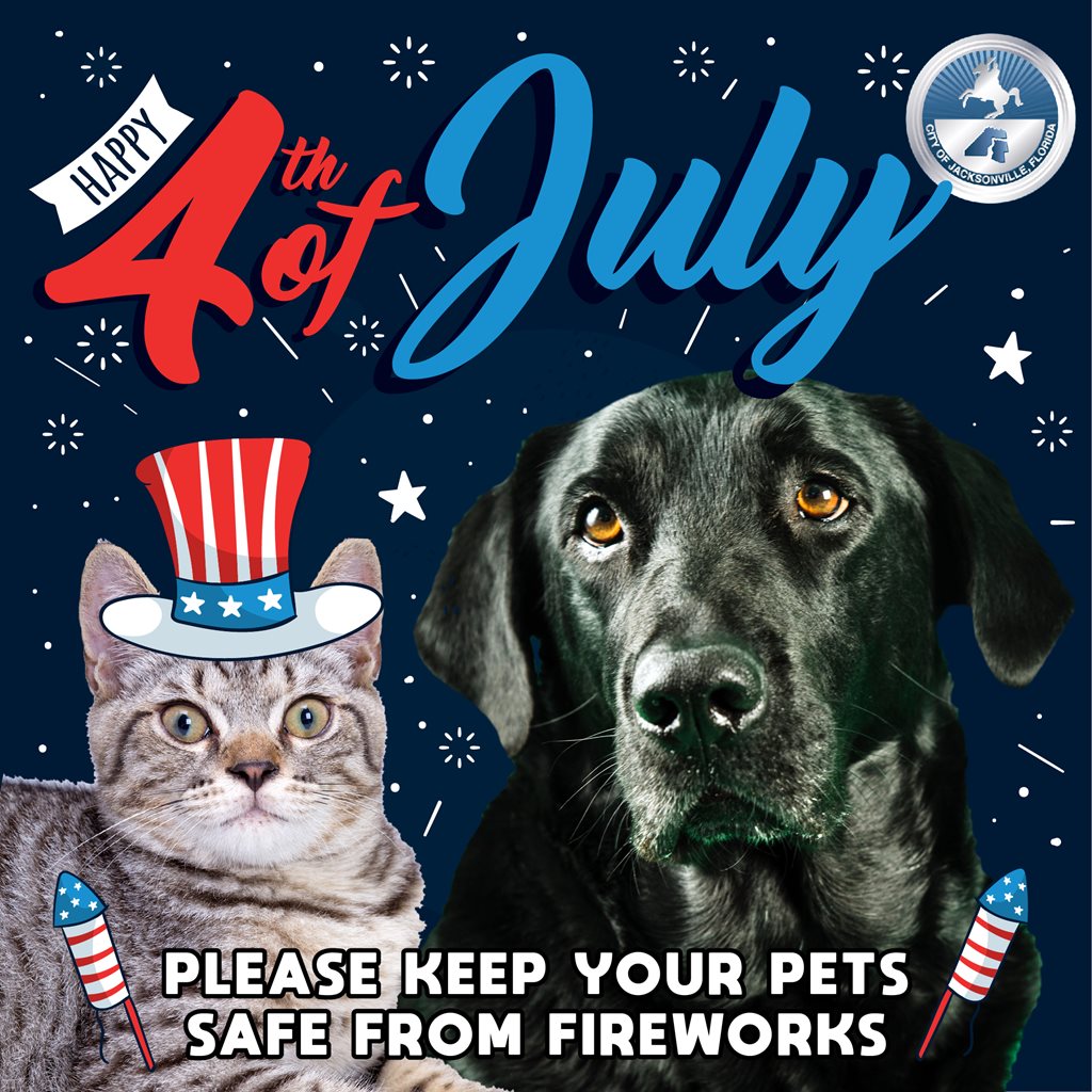 happy 4th of july dog and cat