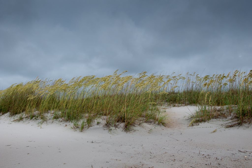 sand dunes at hannah park