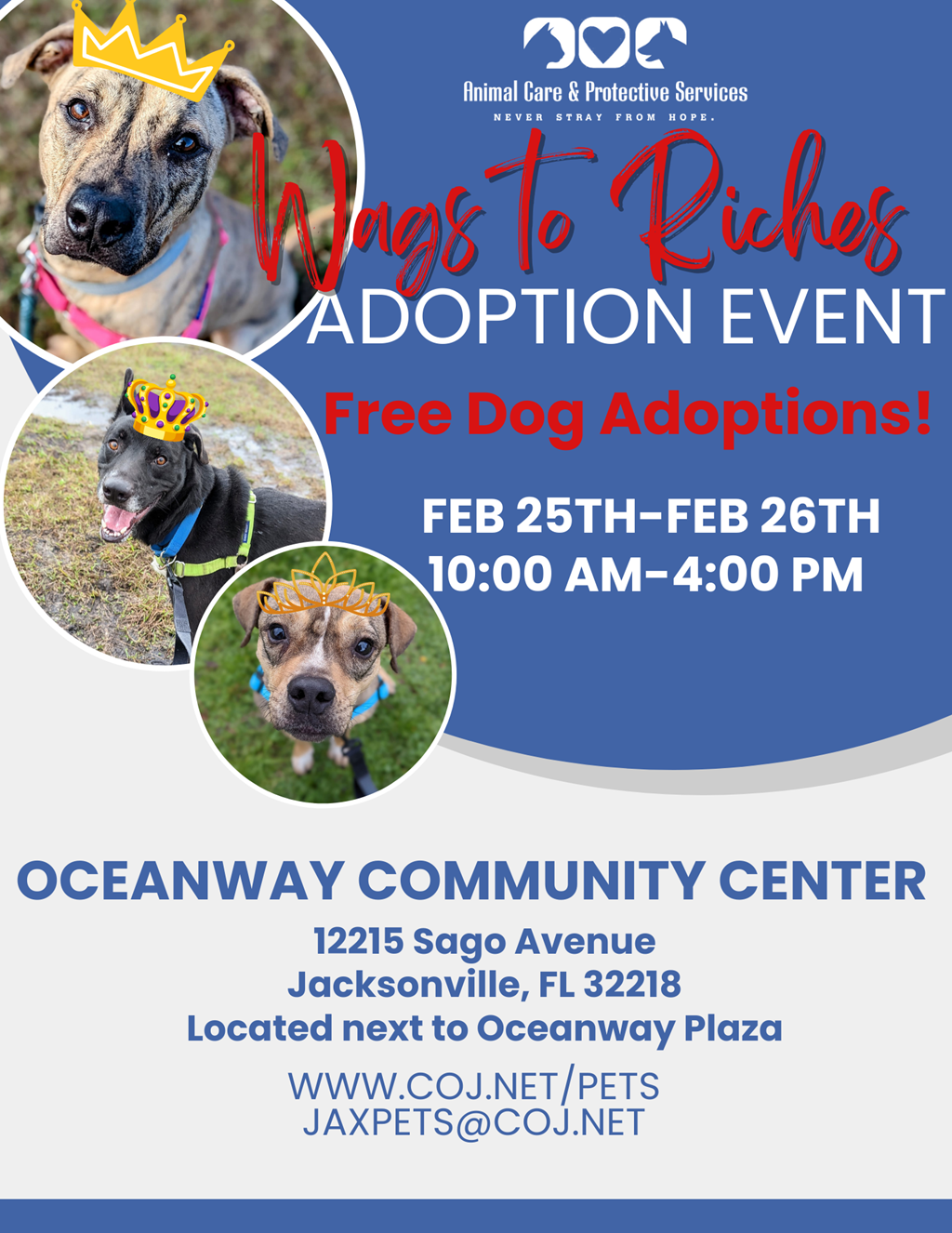 Wags to Riches Adoption Event Flyer