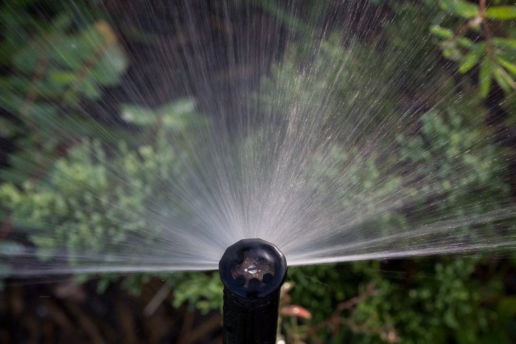 A sprinkler spraying water