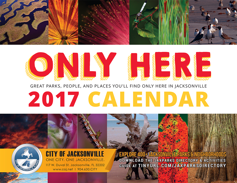 Only Here 2017 Calendar Cover