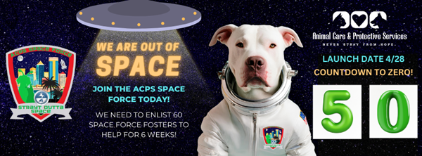 Photo of a dog in a spacesuit and a spaceship