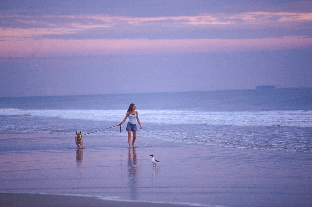 A citizen and her dog enjoying a calm morning along Jacksonville's miles of oceanfront