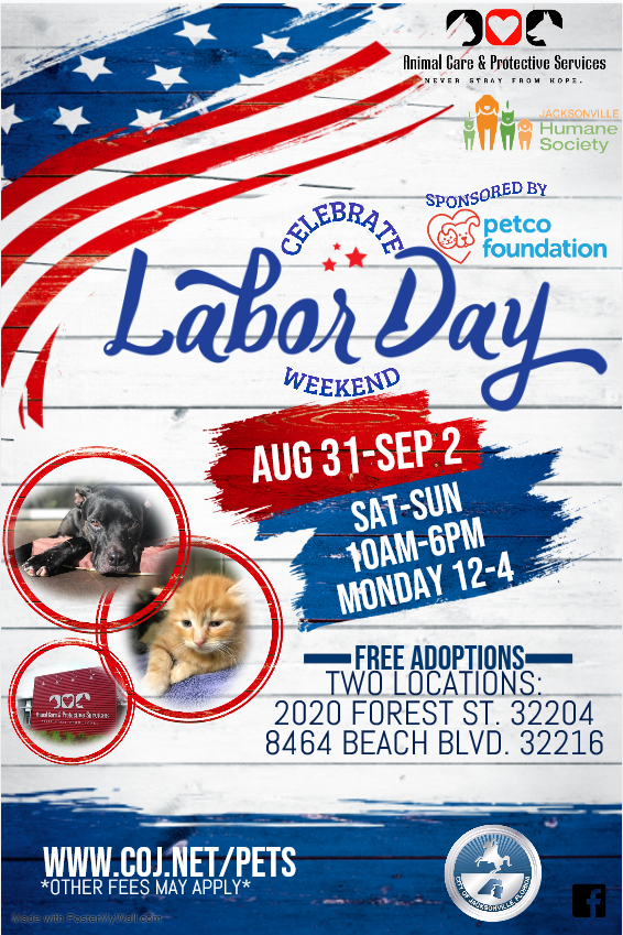ACPS adoption event flyer with american flag theme