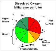 Dissolved Oxygen Color Chart