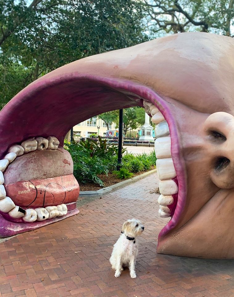 dog standing my mouth sculpture in Hemming Park