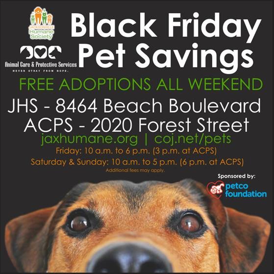 Black Friday Pet Savings 