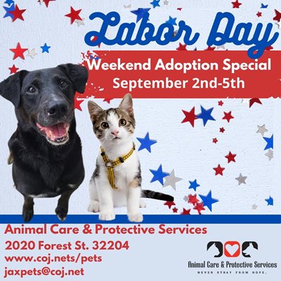 ACPS Labor Day Adoption Special graphic with dog and cat