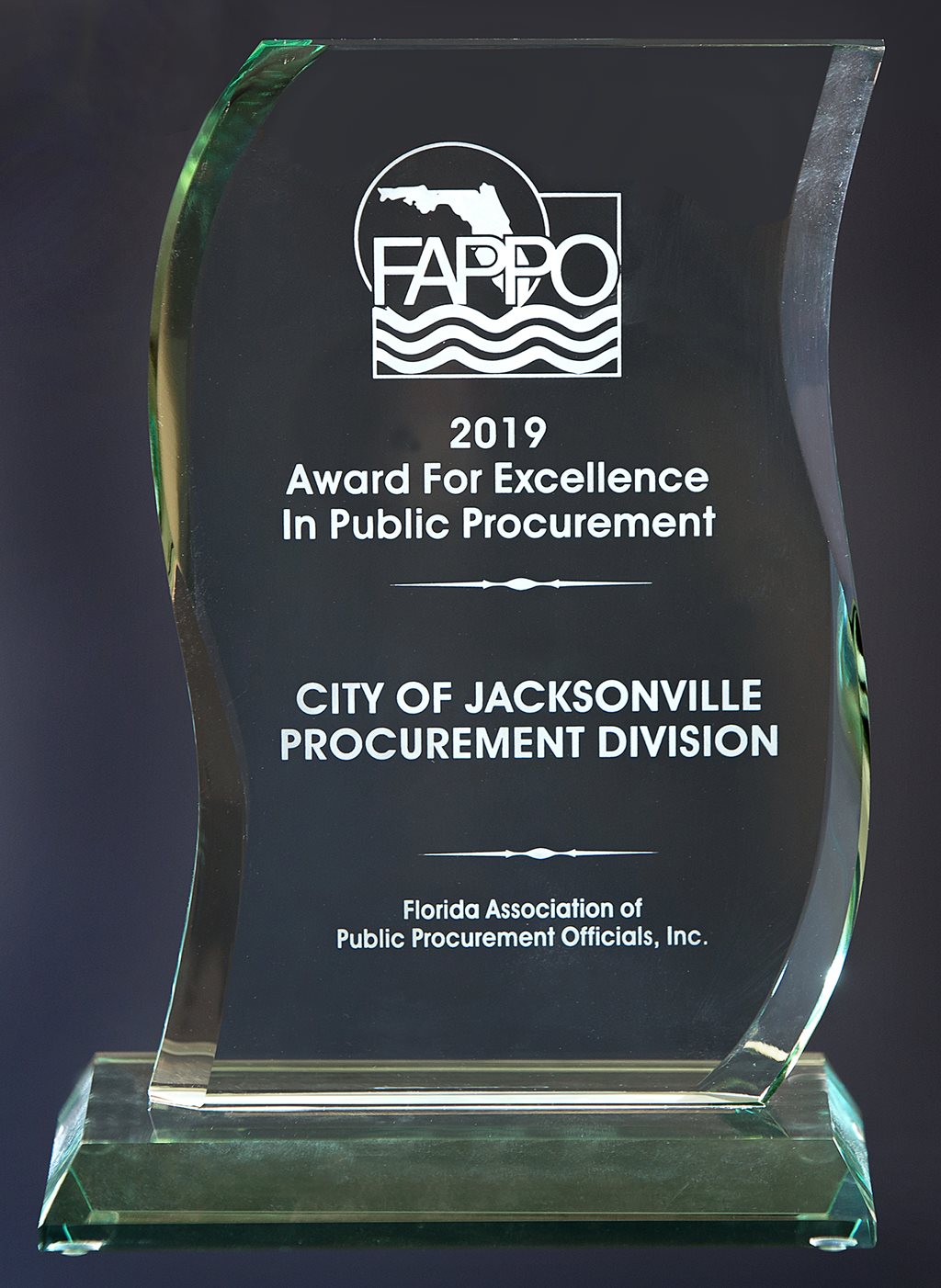 2019 Award of Excellence in Public Procurement