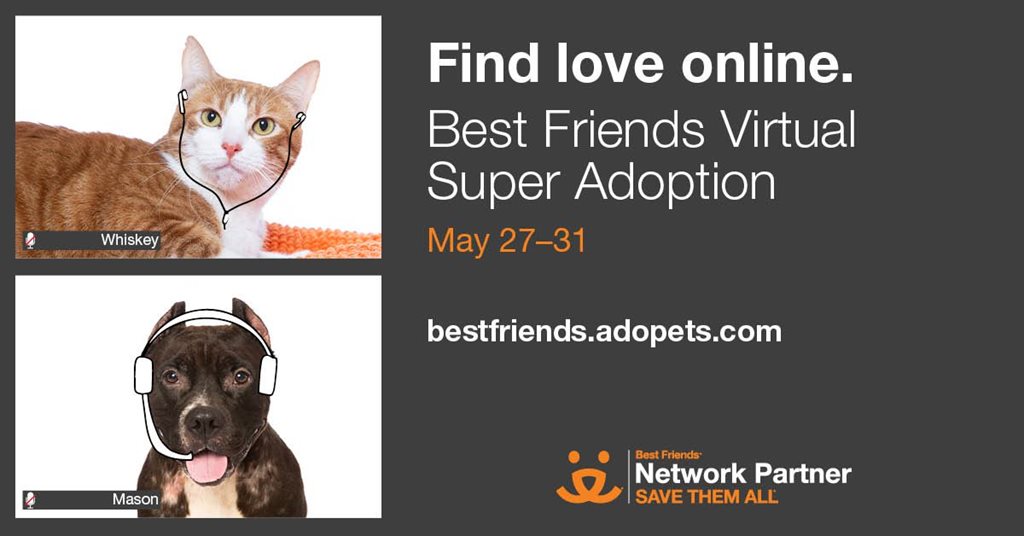 Best Friends Virtual Super Adoption Event 