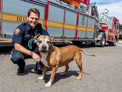 JFRD fireman with shelter dog in front of firetruck