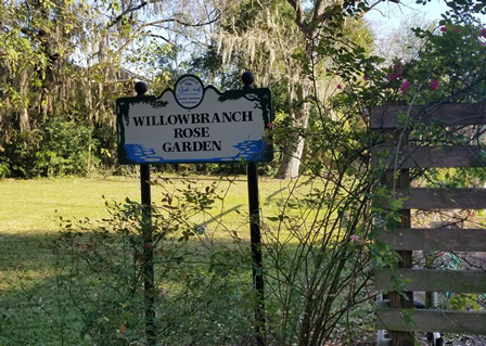 Willowbranch Rose Garden Park