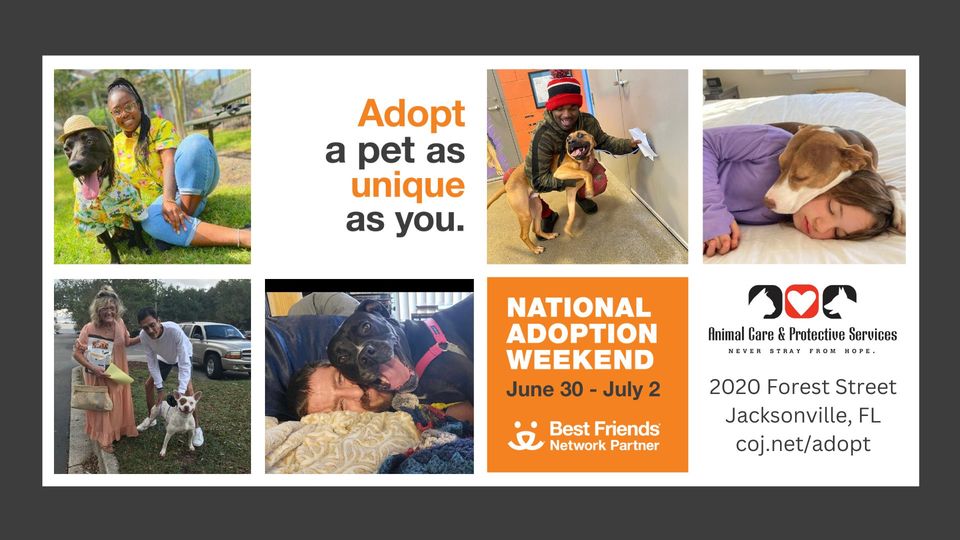 national adoption weekend flyer with photos of people and pets