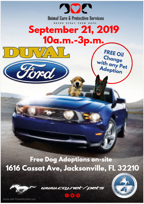 Duval Ford and Animal Care and Protective Services Adoption Flier with two dogs in a car. 