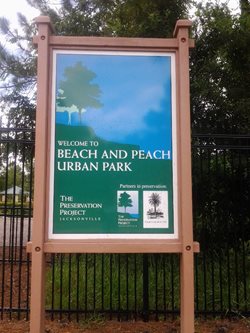 Beach-and-Peach-Urban-Park.jpg