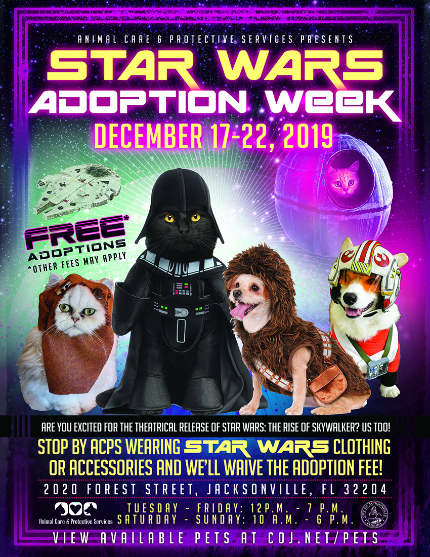 Star Wars Flier with dogs and cats in Star Wars costumes