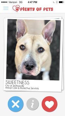 Sweetness is looking for a home