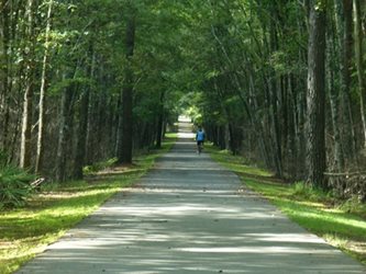 A man riding his bicycle along a paved path with trees