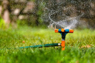 sprinkler watering green grass