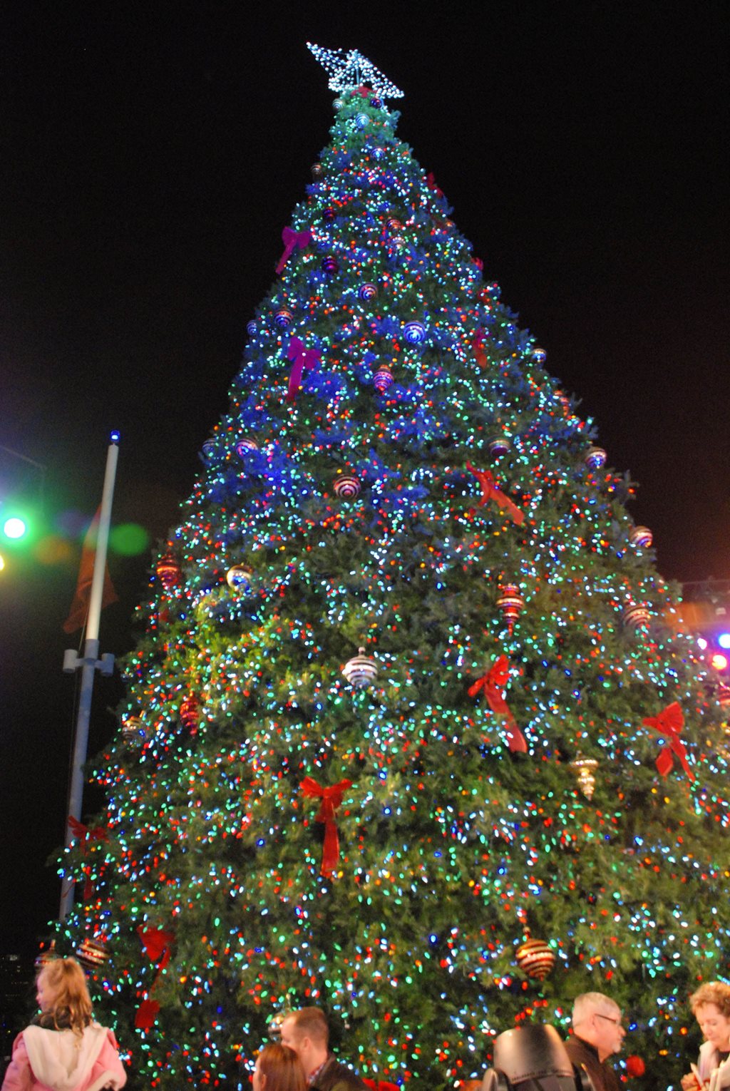 Fifty-six foot christmas tree lit at night