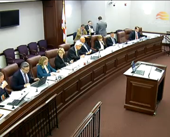 Feb. 8 meeting of the Florida Senate Finance and Tax Committee