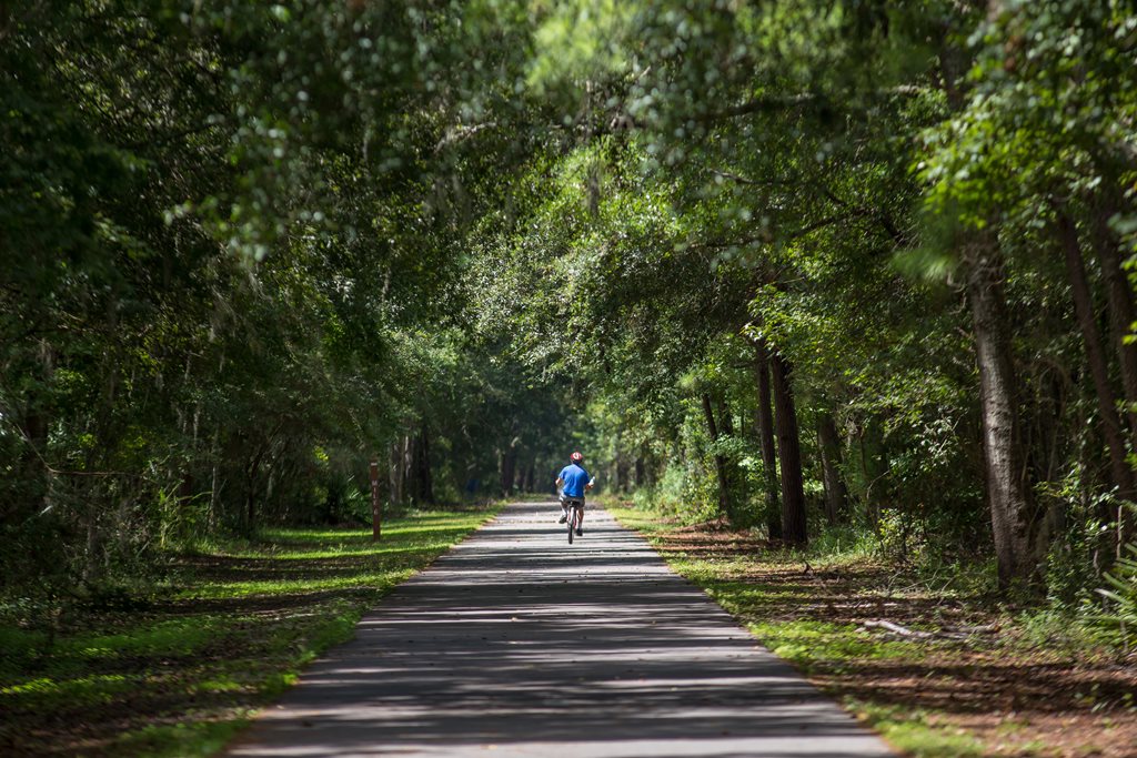 A bicyclist riding along a tree lined trail