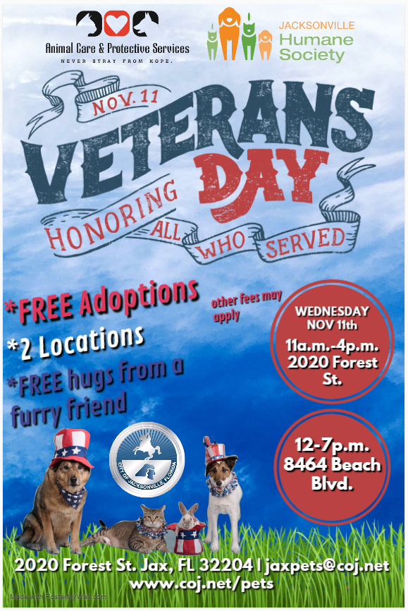 Veterans Day Adoption Flier