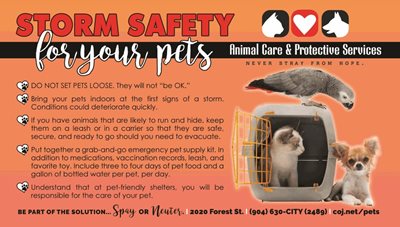 storm safety for your pets page from emergency preparedness guide - photo of dog, cat and bird in kennel