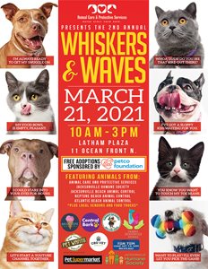 WHSIKERS AND WAVES FLYER