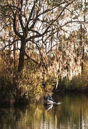 Get out and explore the many natural sanctuaries and attractions Jacksonville has to offer
