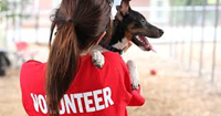 Volunteer holding Dog