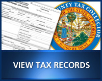 View Tax Records