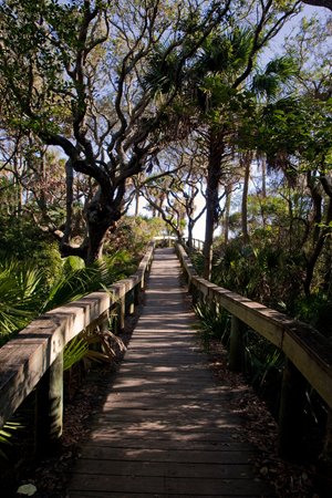A boardwalk on one of the mnay trail in Jacksonville's Hanna Park