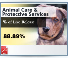 Animal Care and Protective Services